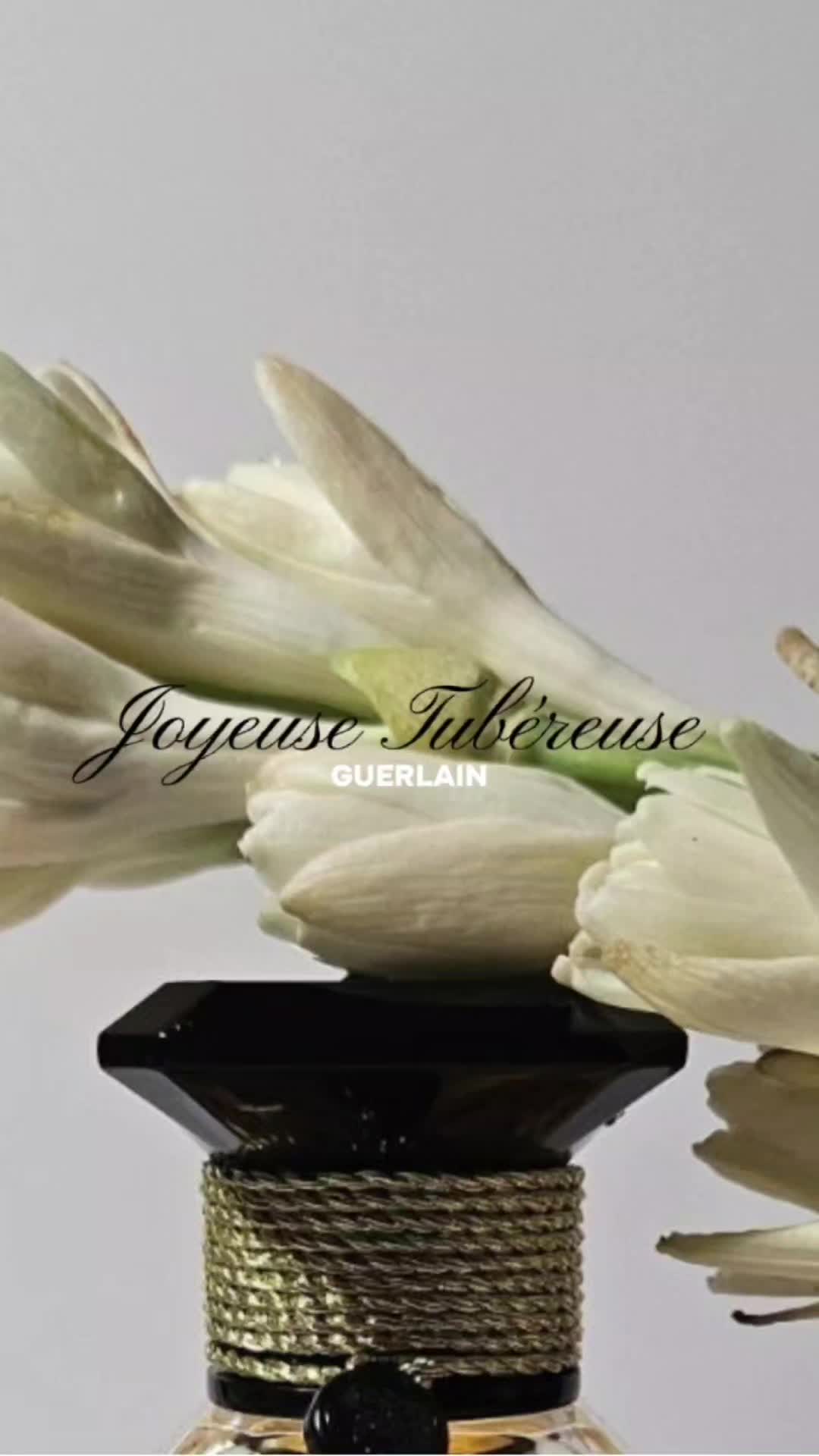 @Ardan — Fragrance Euphoria