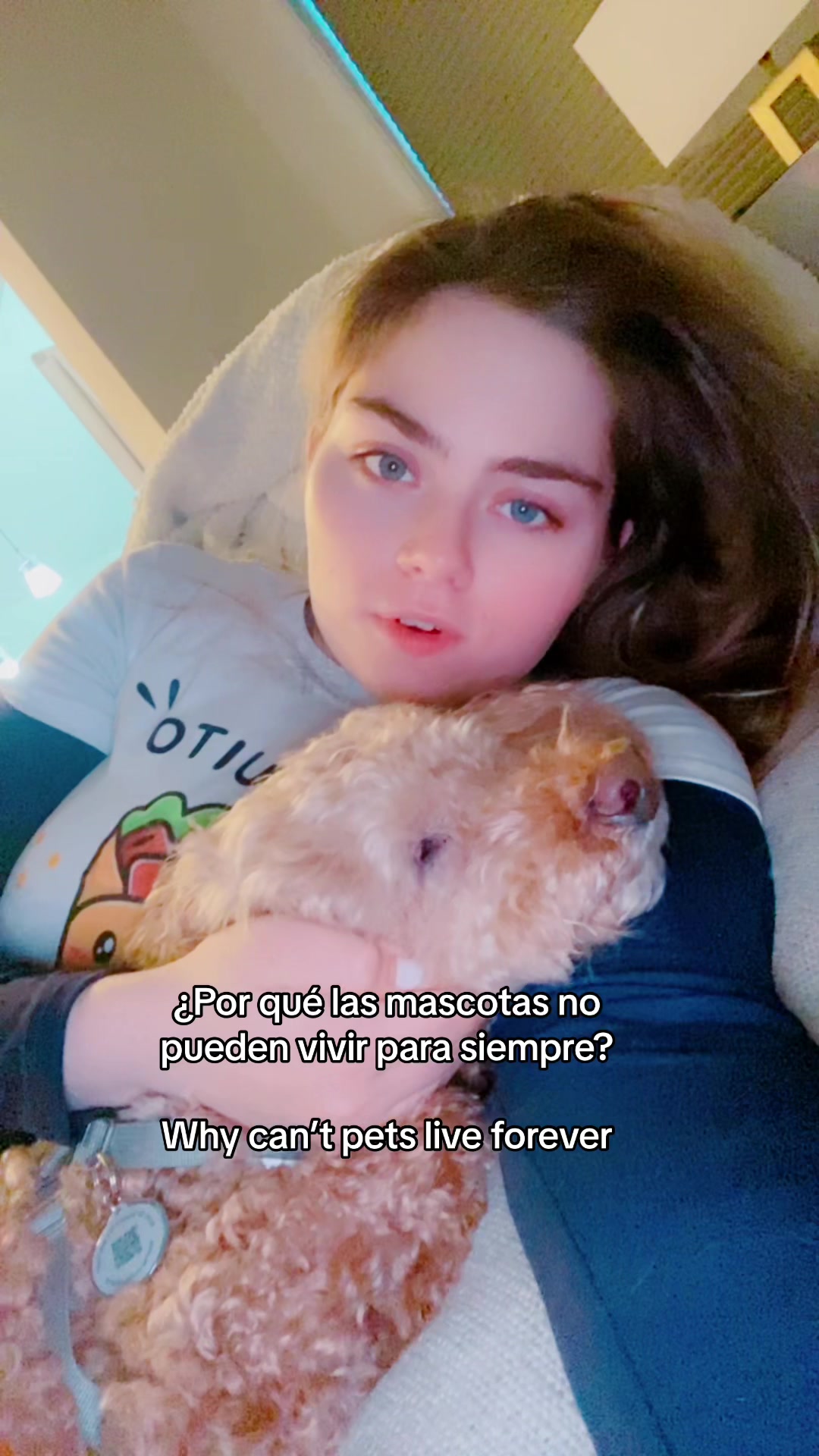 @línea