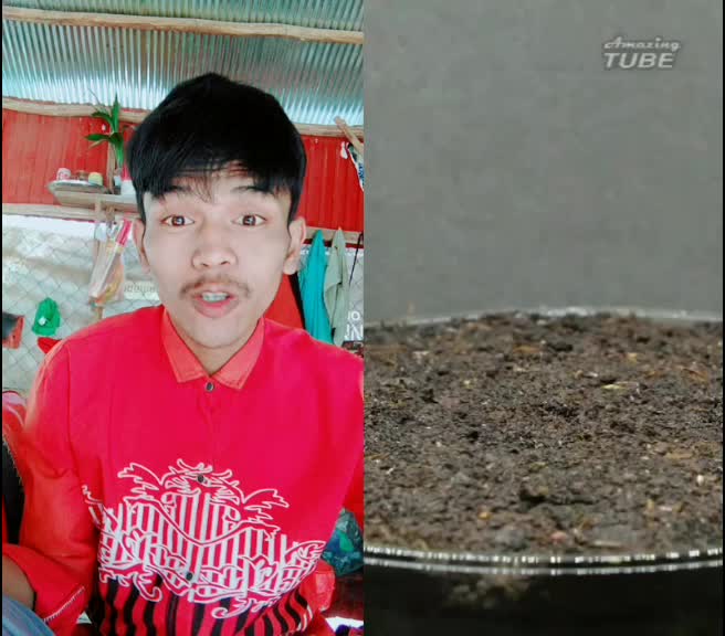 @ប្រុស ខ្មៅ