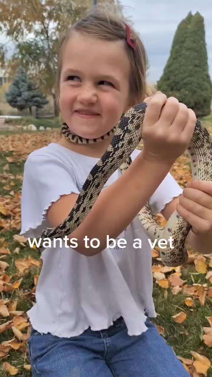 @Ariel Palmer
