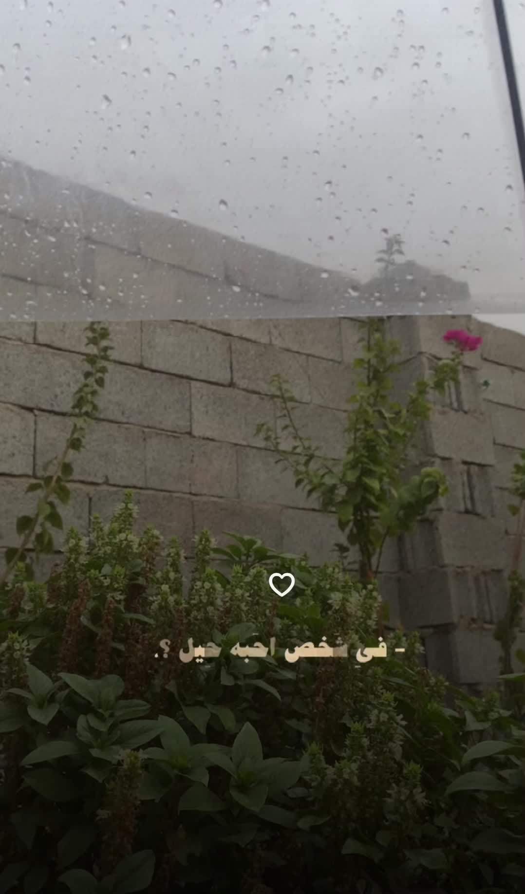 @سَ | 1992مِـ 🇸🇦