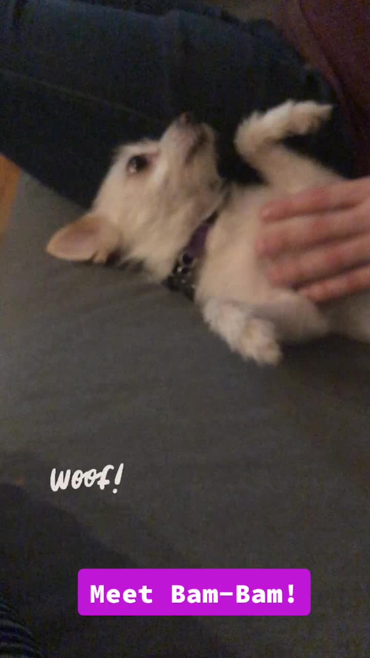 @no.thisisdylan