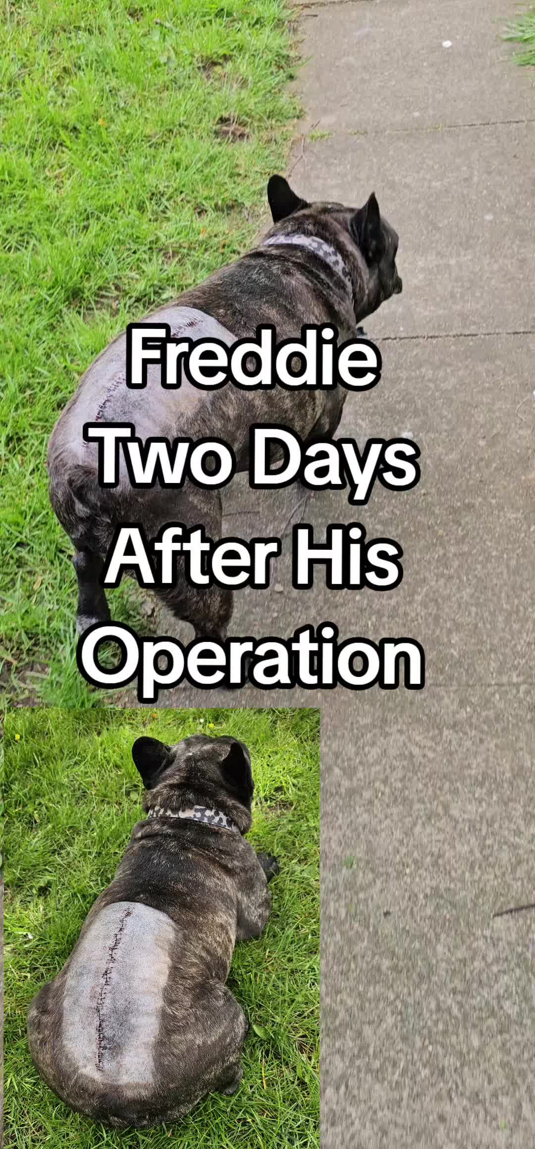 @jcorr911