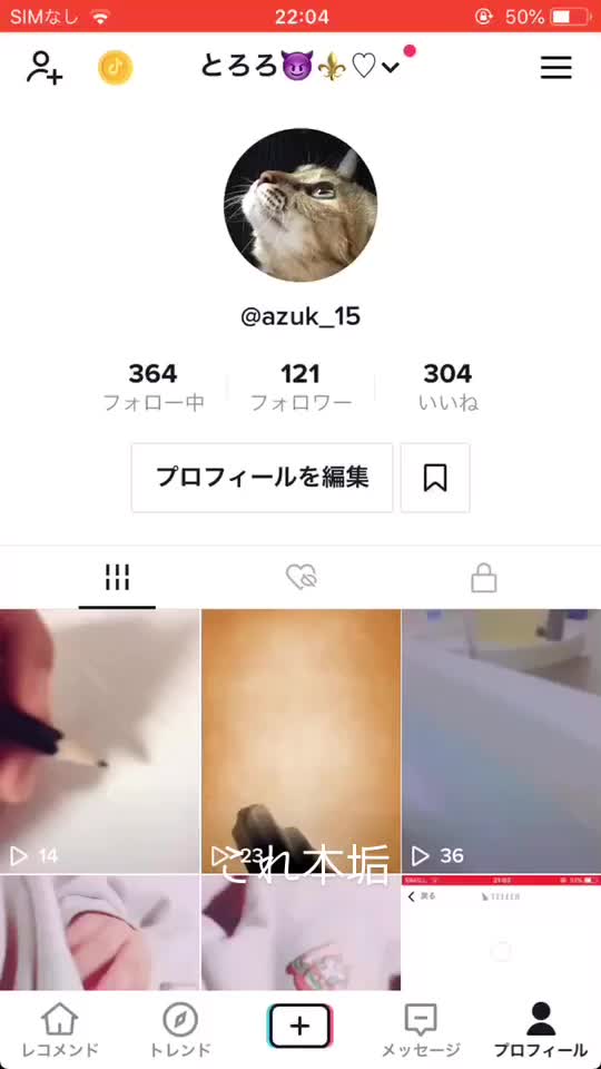 @チベットスナギツネ