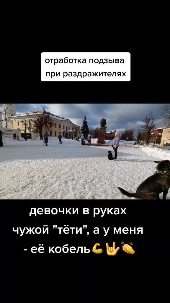 @Radychka33