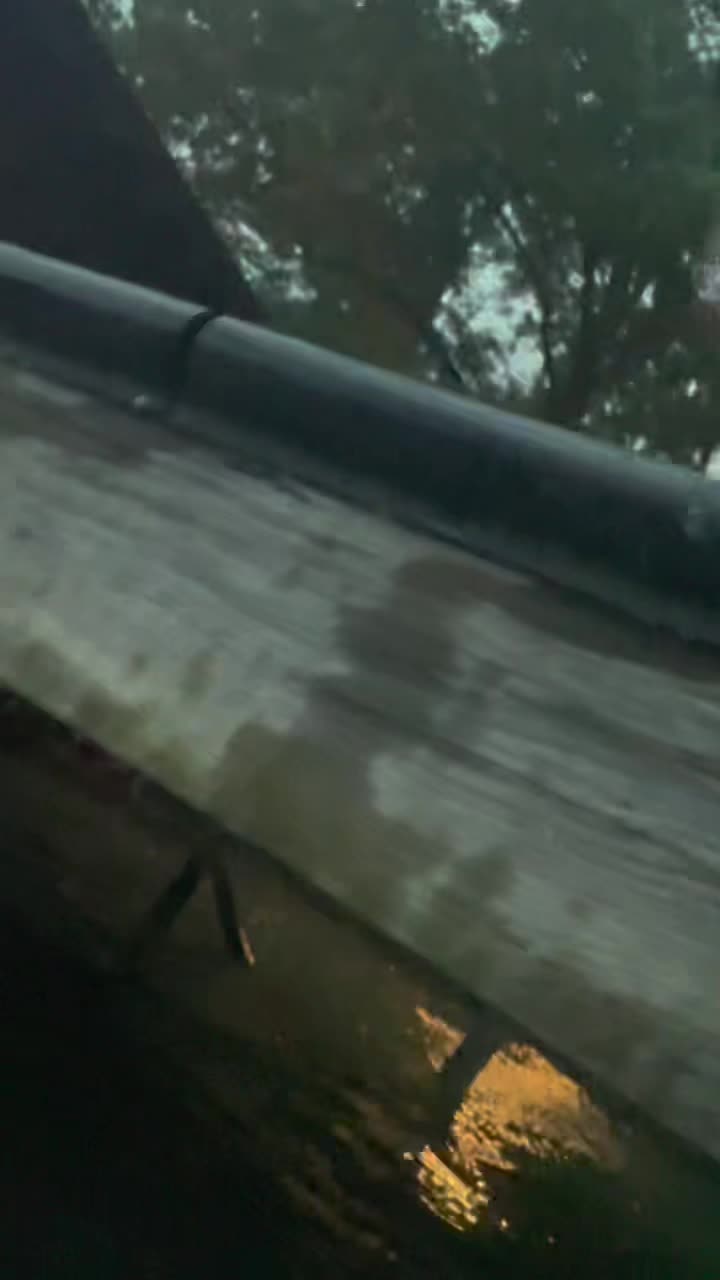 @HalleThomasss