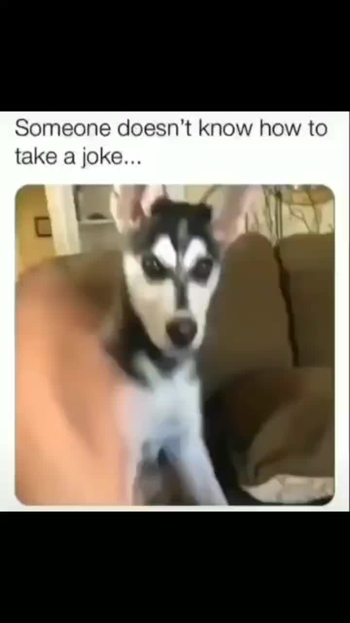 @fyygg12
