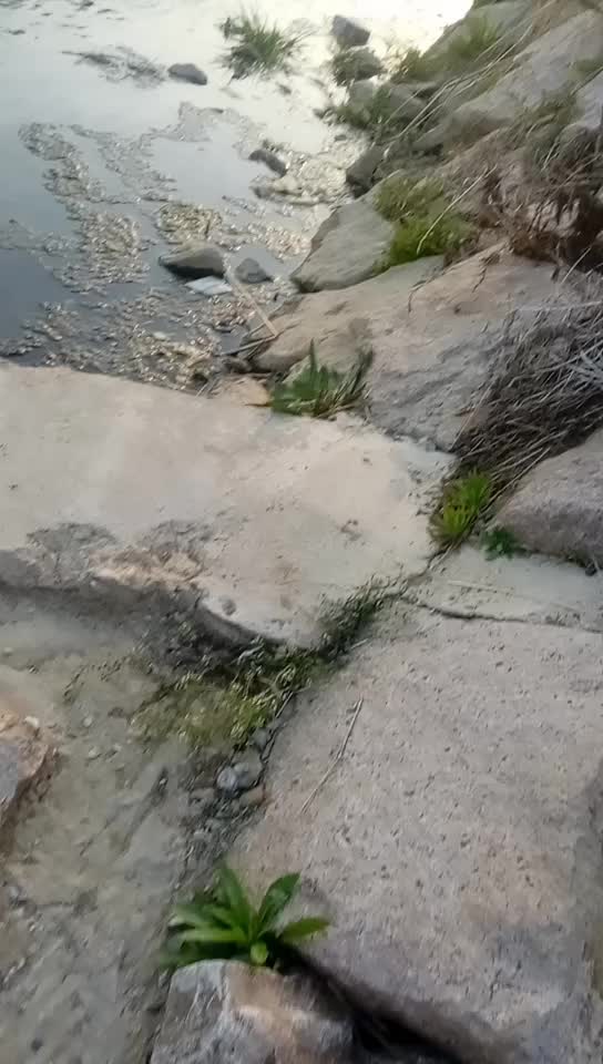 @또바기