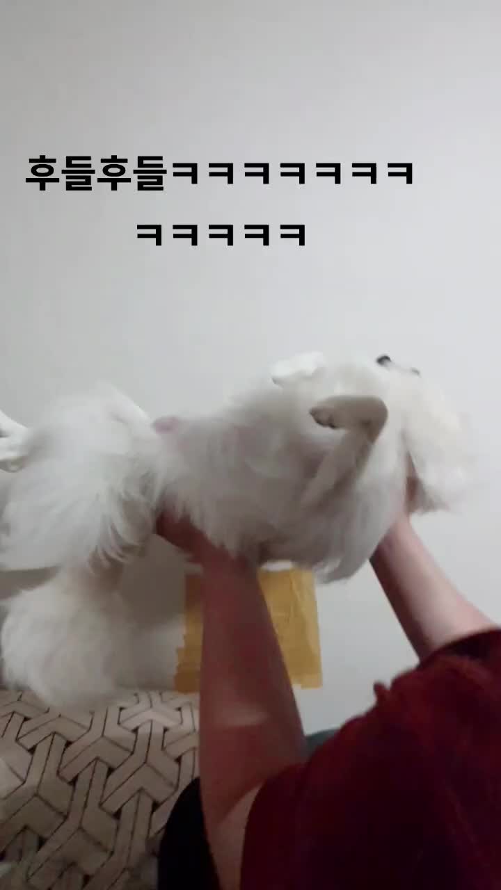 @๋ง์ค