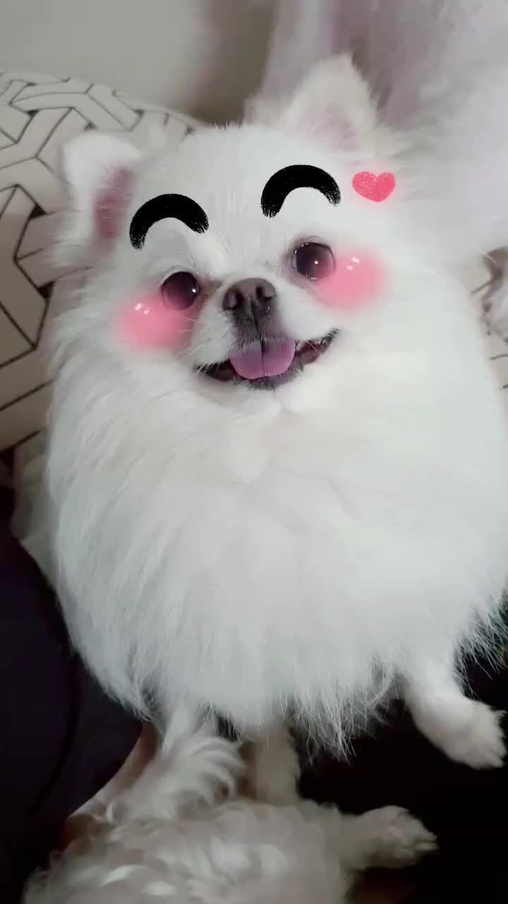 @๋ง์ค