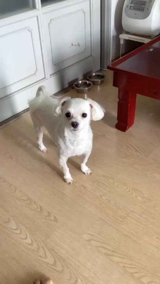 @조은주