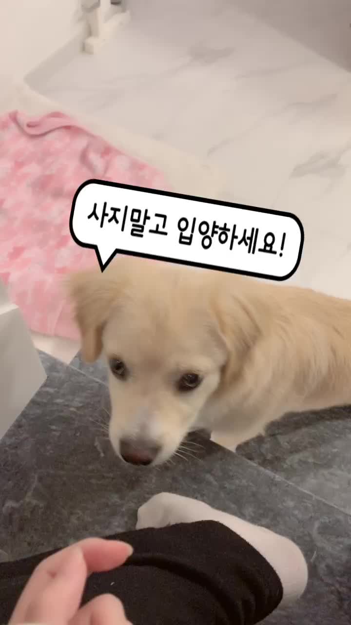 @온리주연JOOYEON