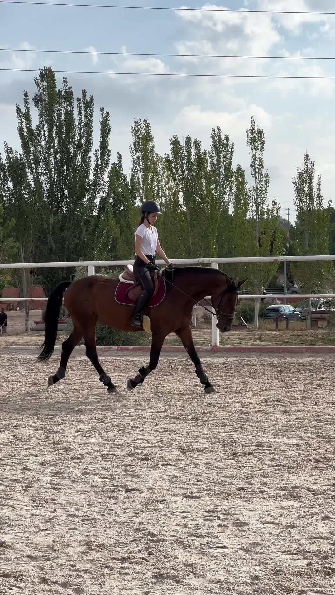 @MHA Teamriding