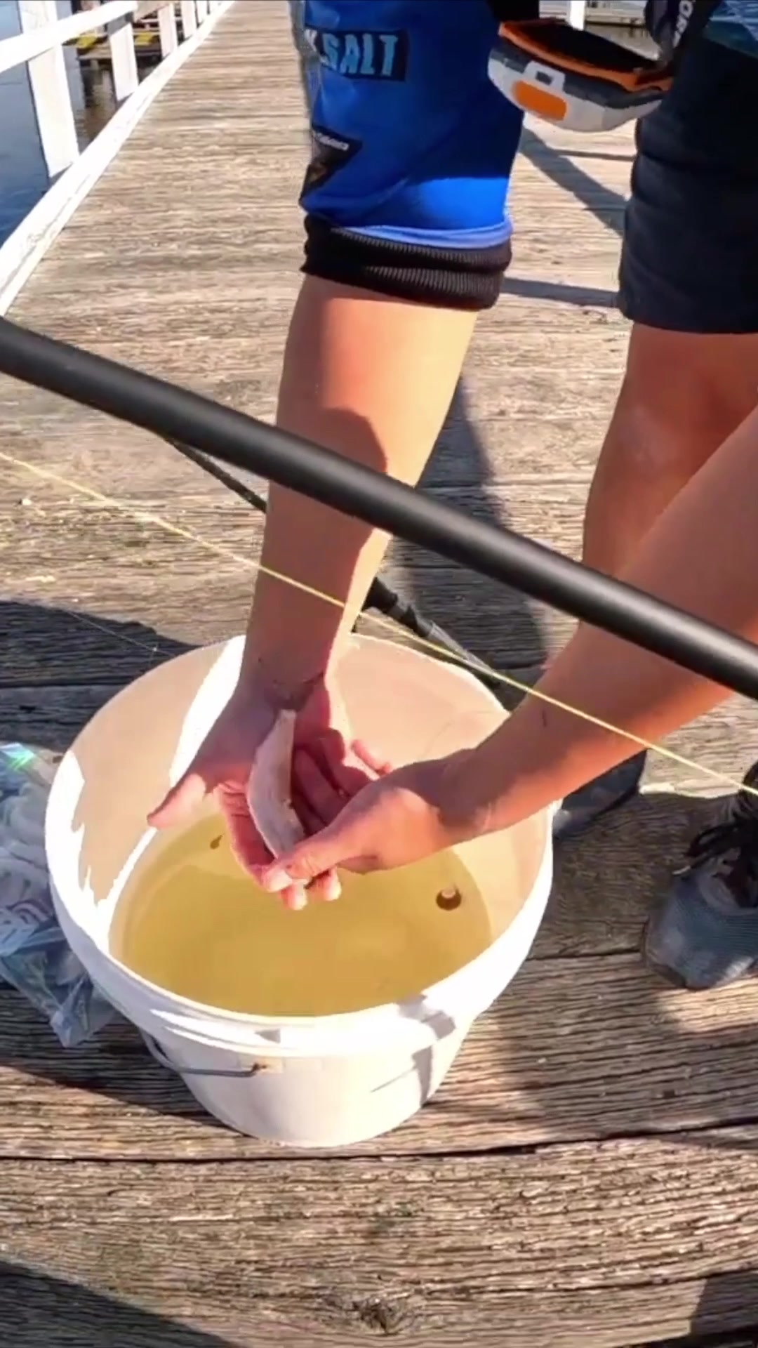 @BST Fishing