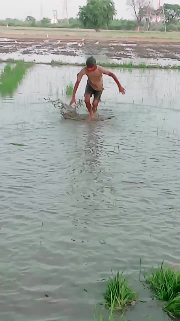 @Raj_official_jatav