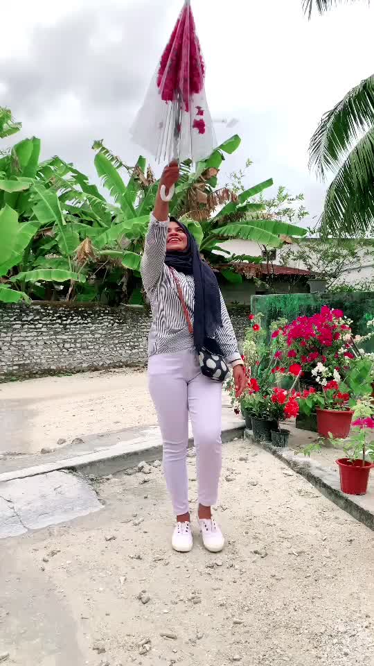 @saucuty
