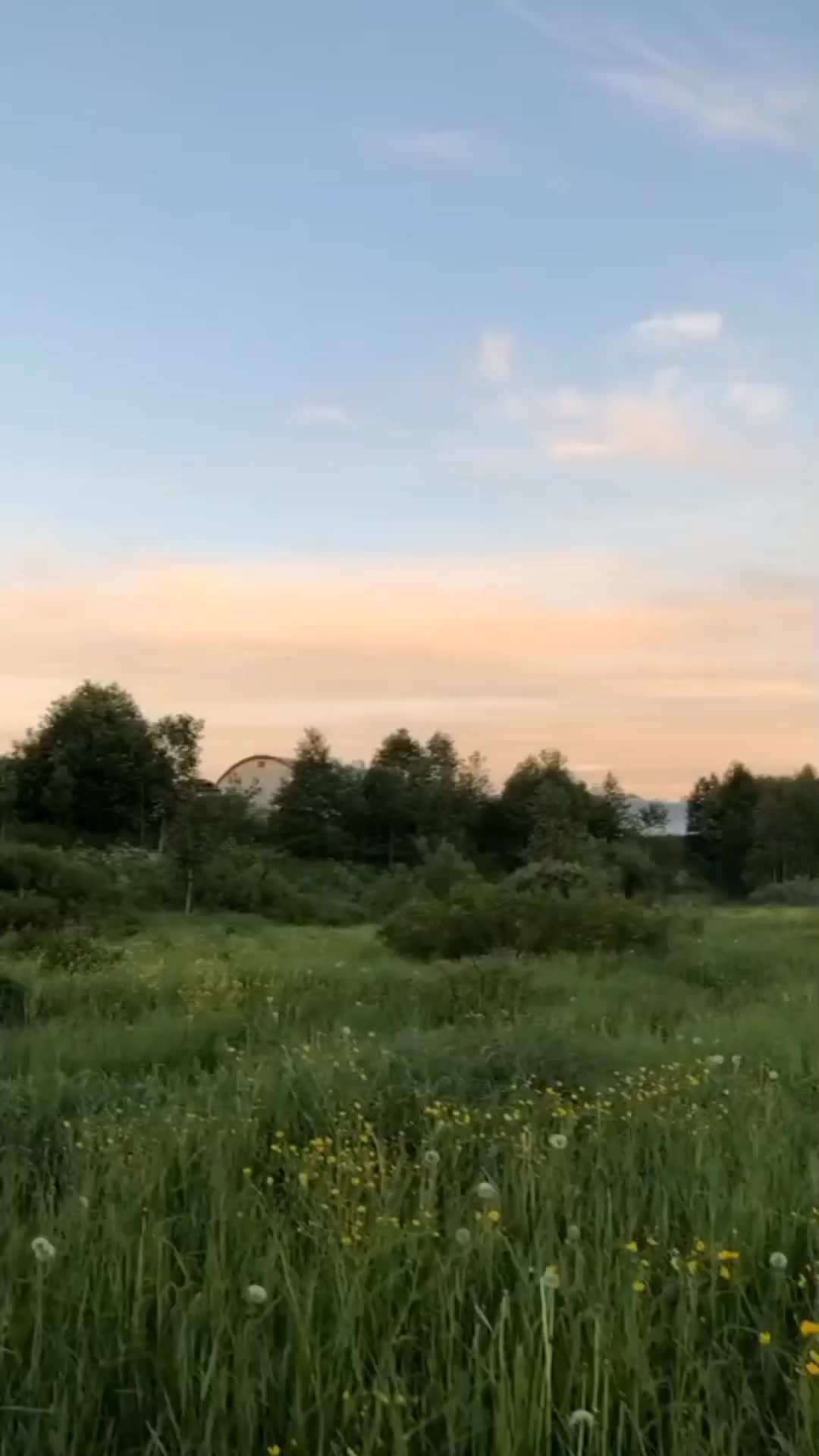 @Липецкий маппер