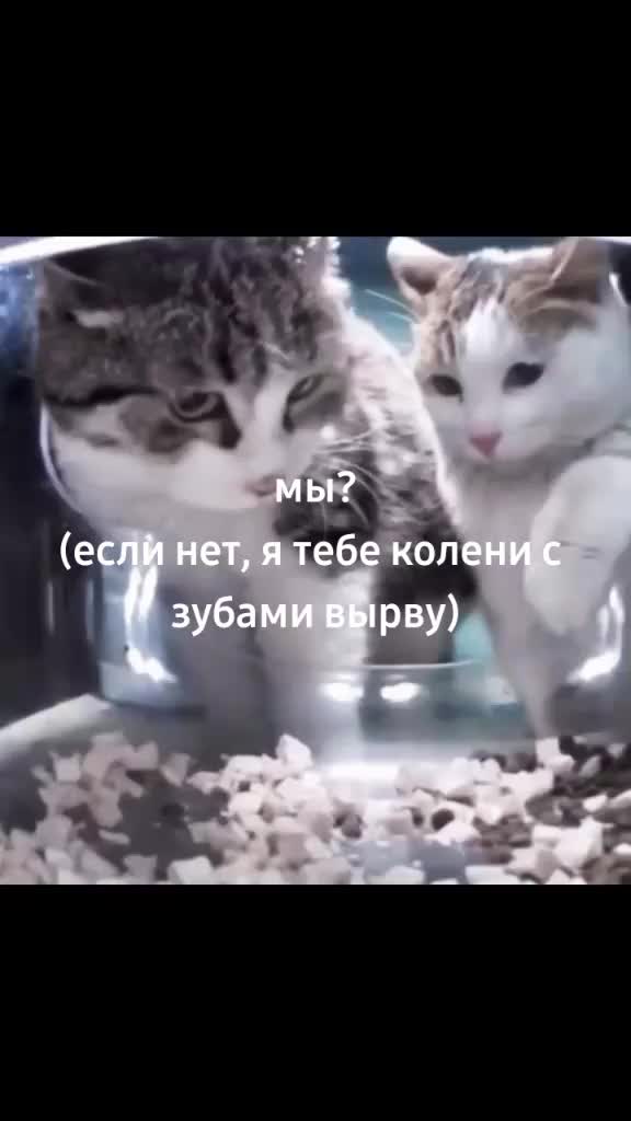 @MIT1X𒉭