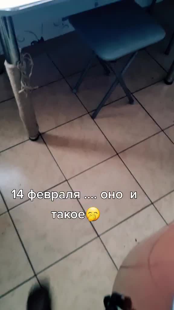 @zena