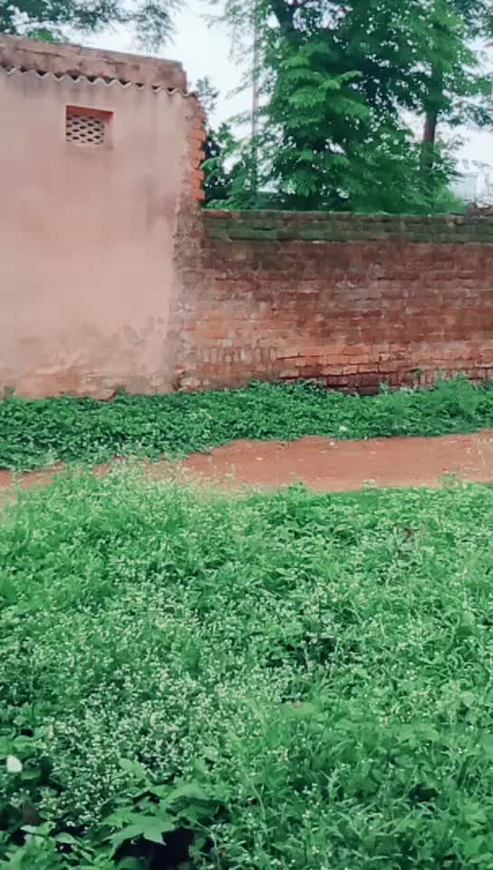 @user5575785803775
