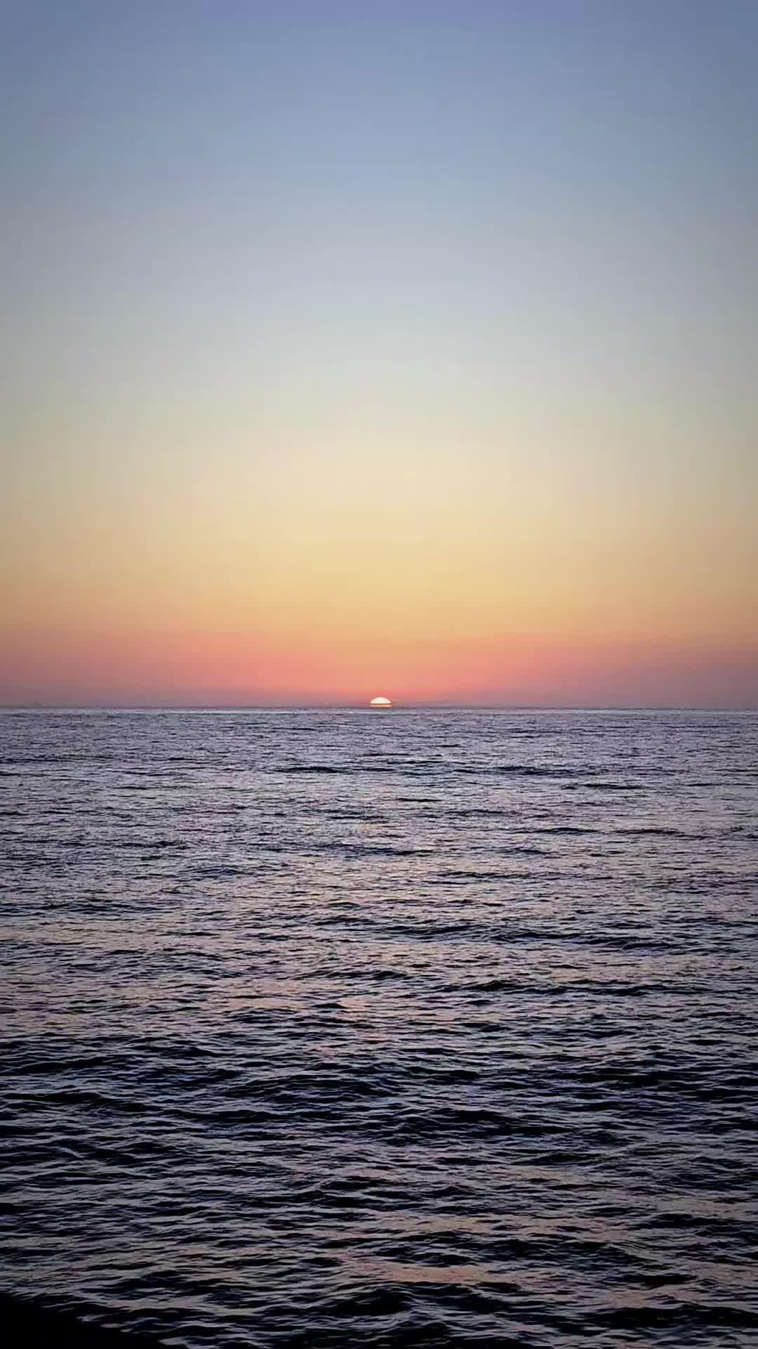@photoQuack