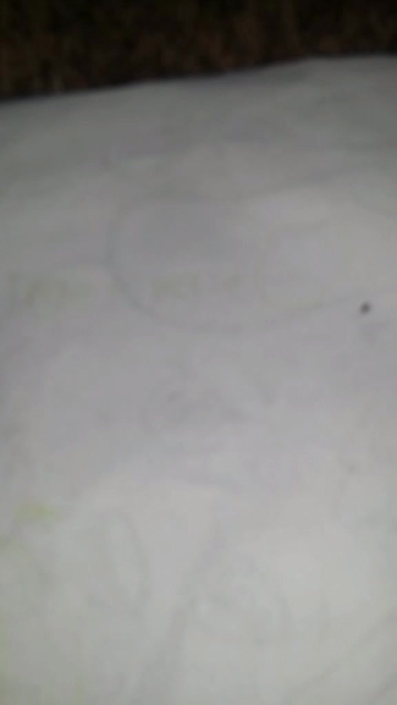 @wolf gamer 2008