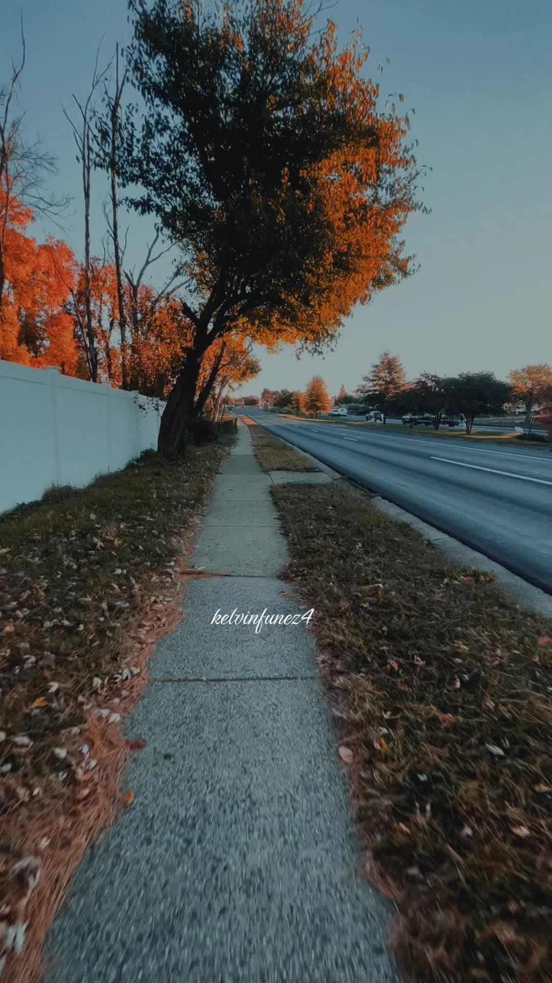 @Jairo504t