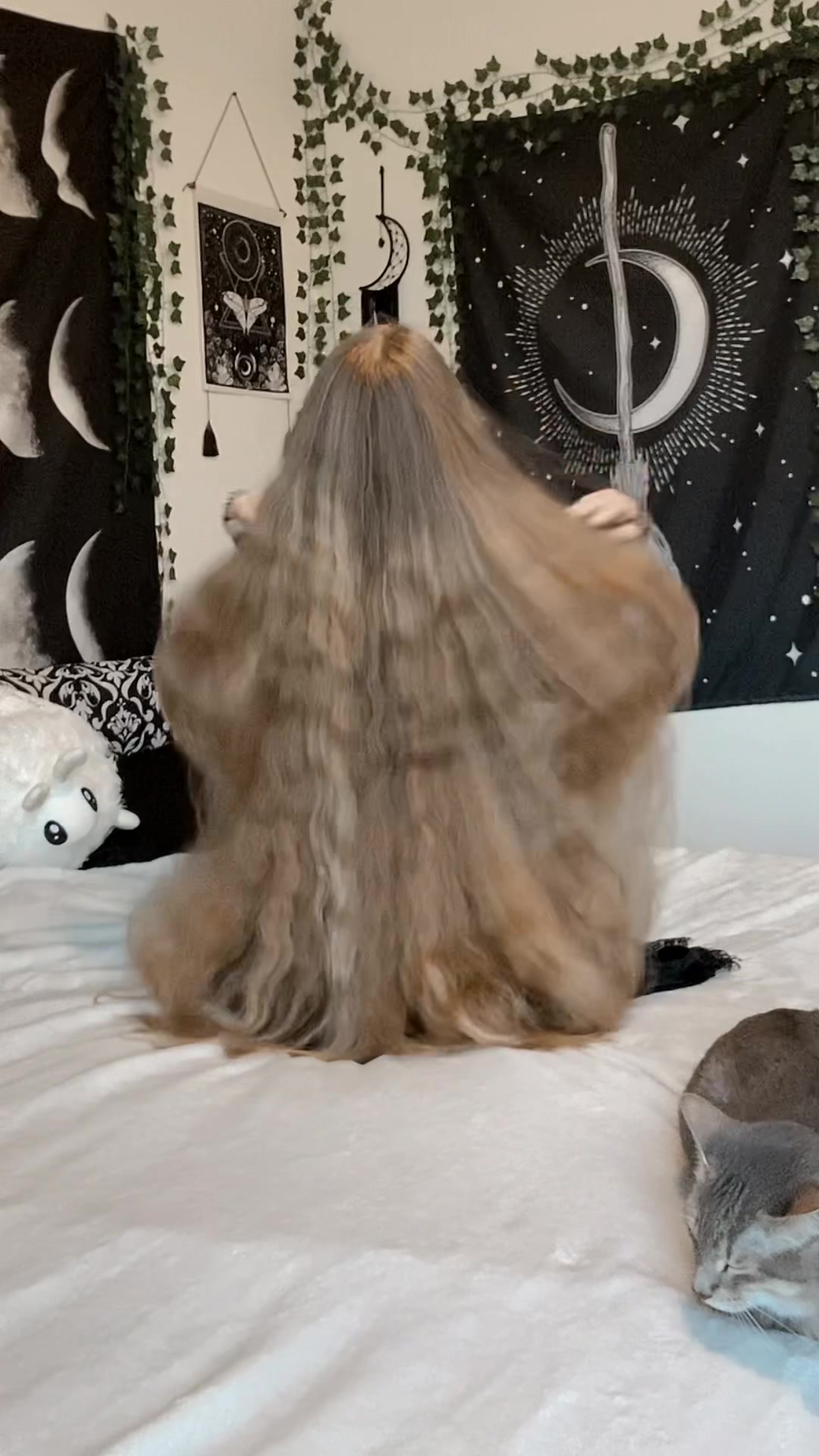 @HauntedMaiden 🌙