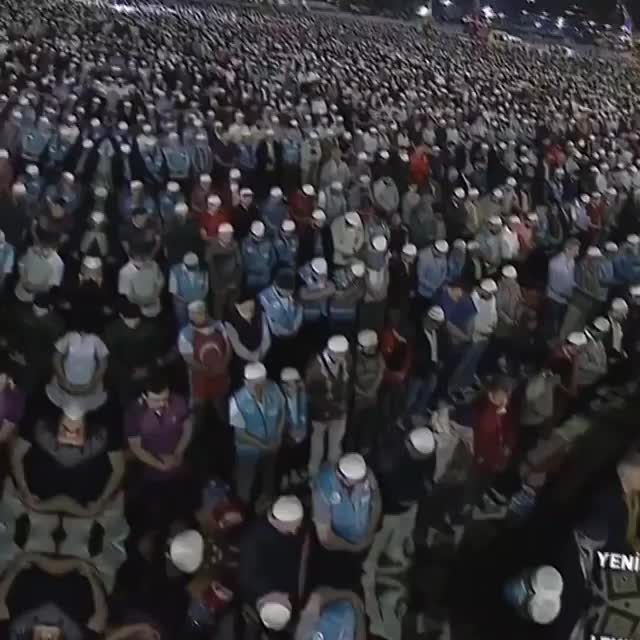 @mujibullahdanish