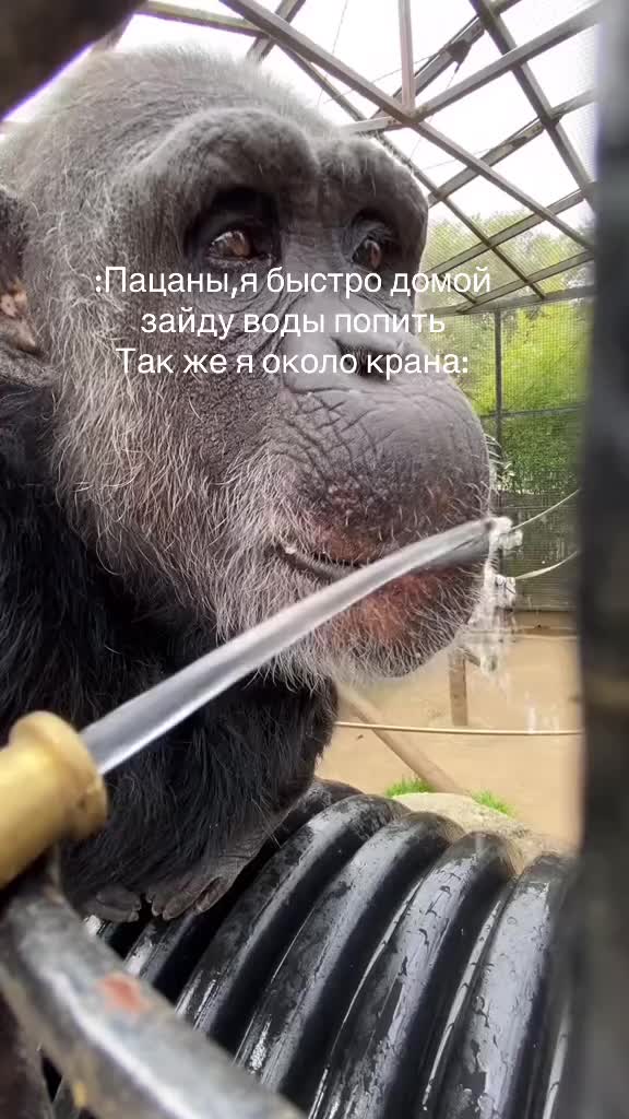 @Ботаник Ярик