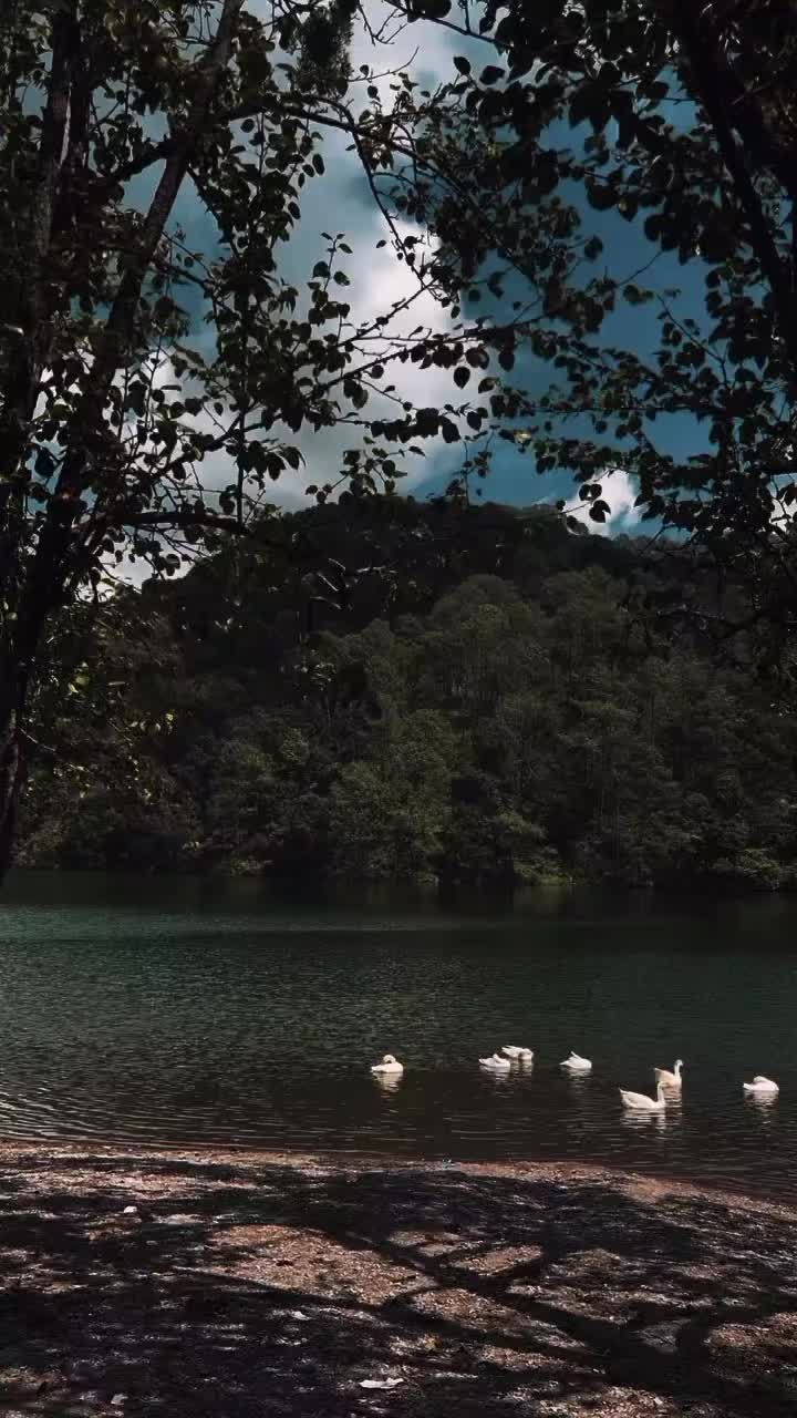 @𝓣𝓪𝓼𝓫𝓲𝓱𝓪💫