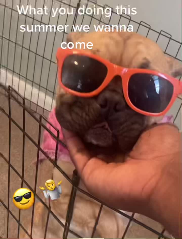 @Snow in Miami Exotiks