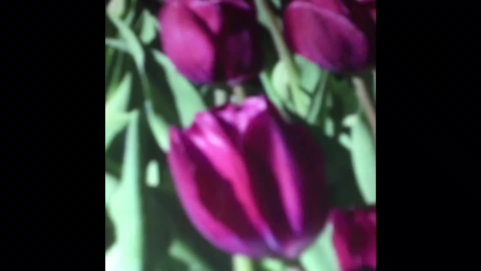 @ᗰOOᑎᒪIGᕼT