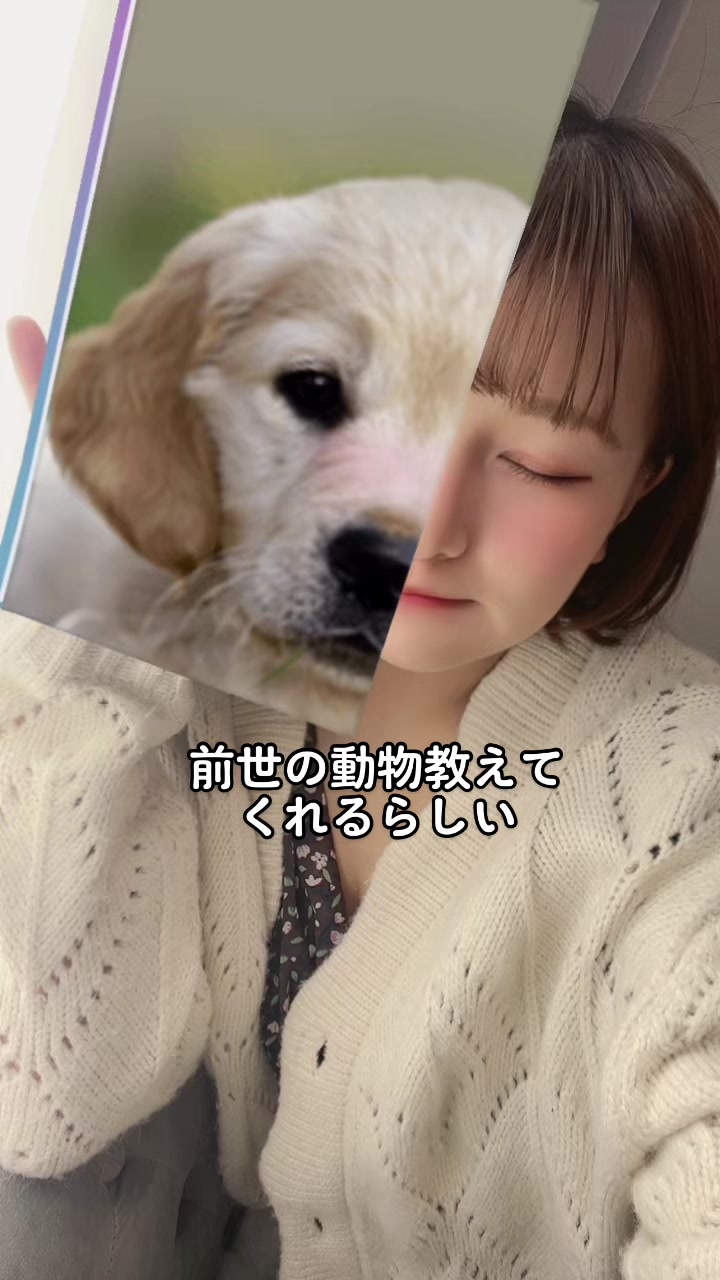 @mugi
