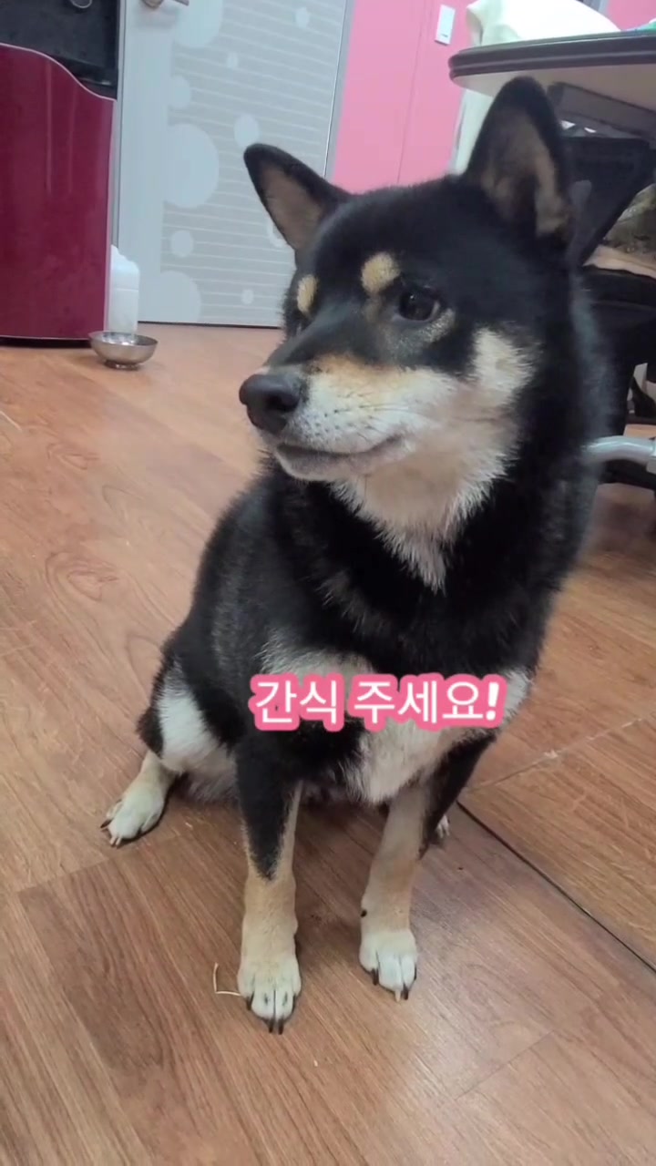 @연탄똘이