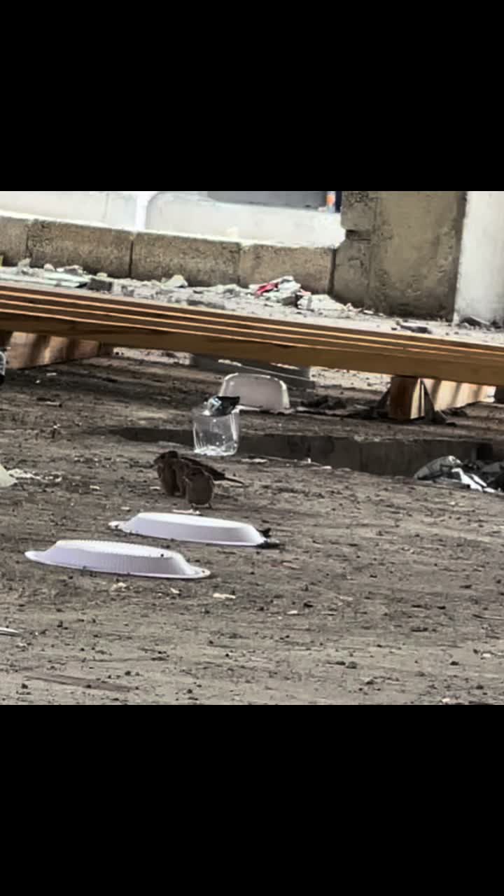 @Yadgar