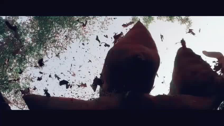 @pk
