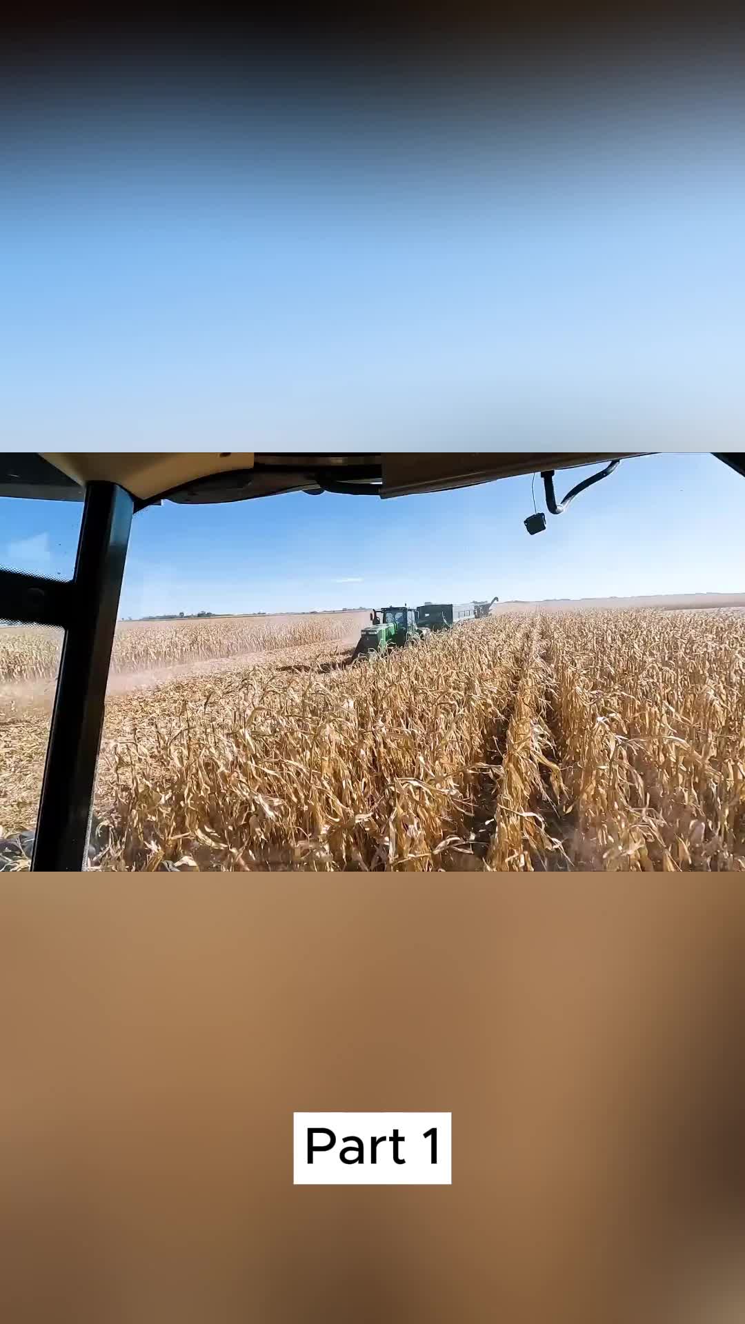 @Larson Farms