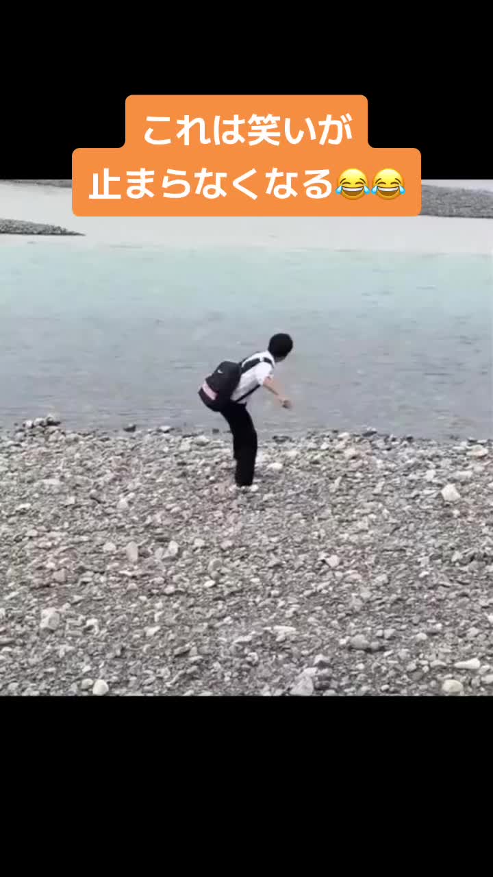 @おもしろ動画