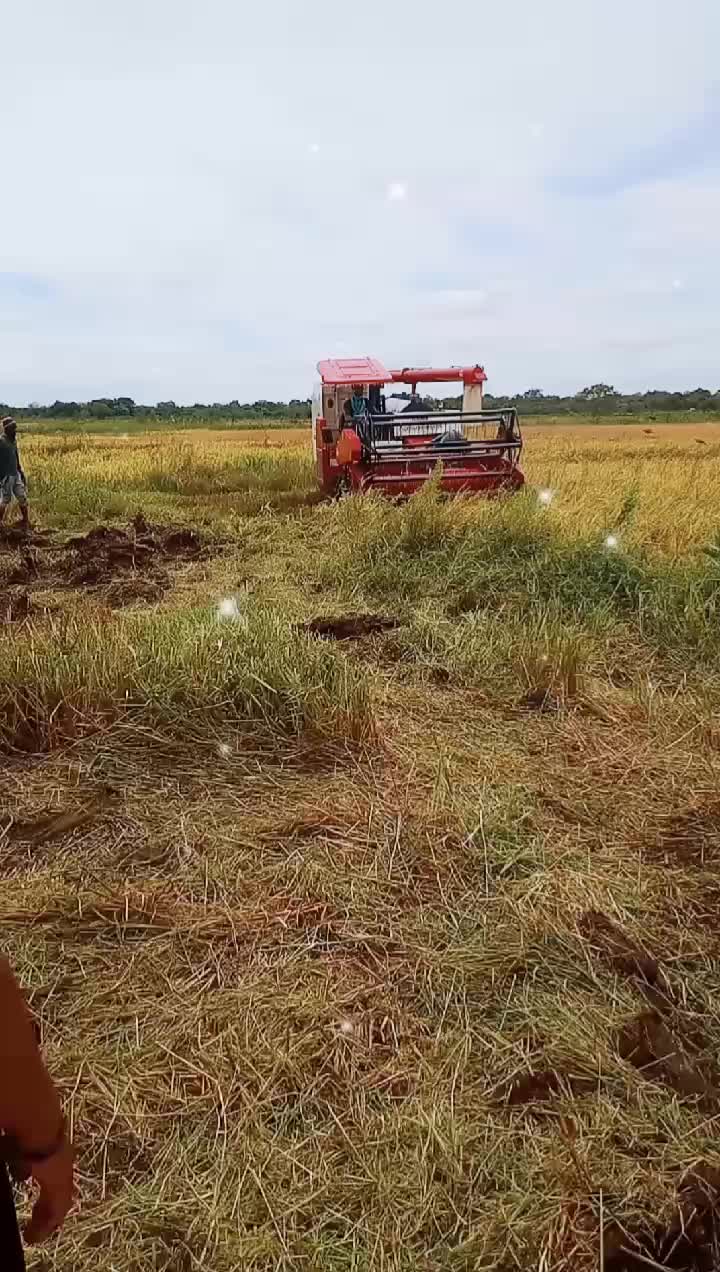 @Manuranga
