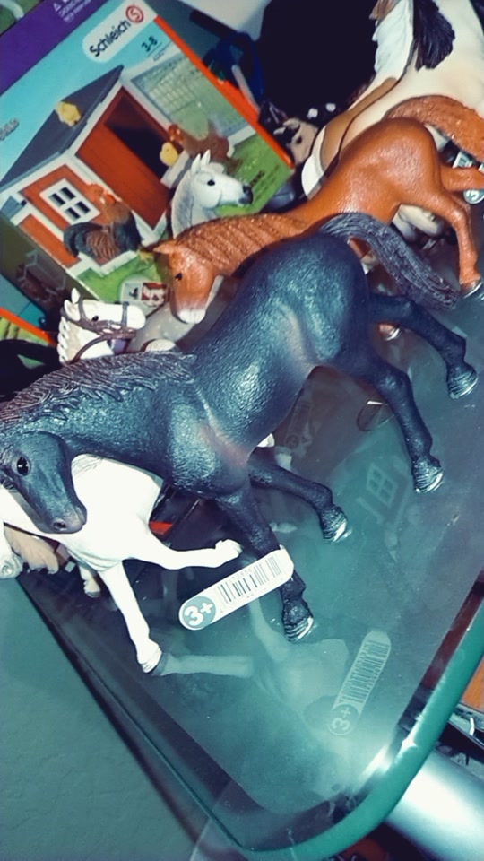 @❤Schleich🧡Today💛