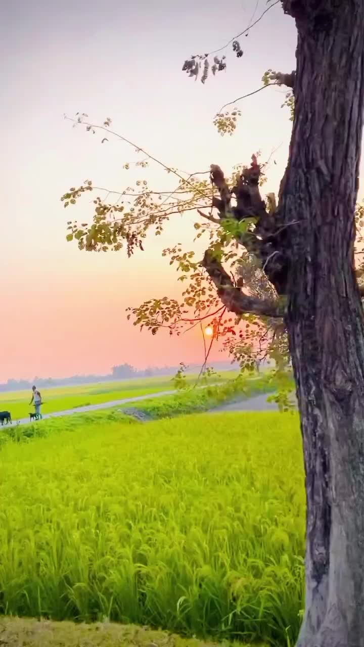 @mr_kamal_19