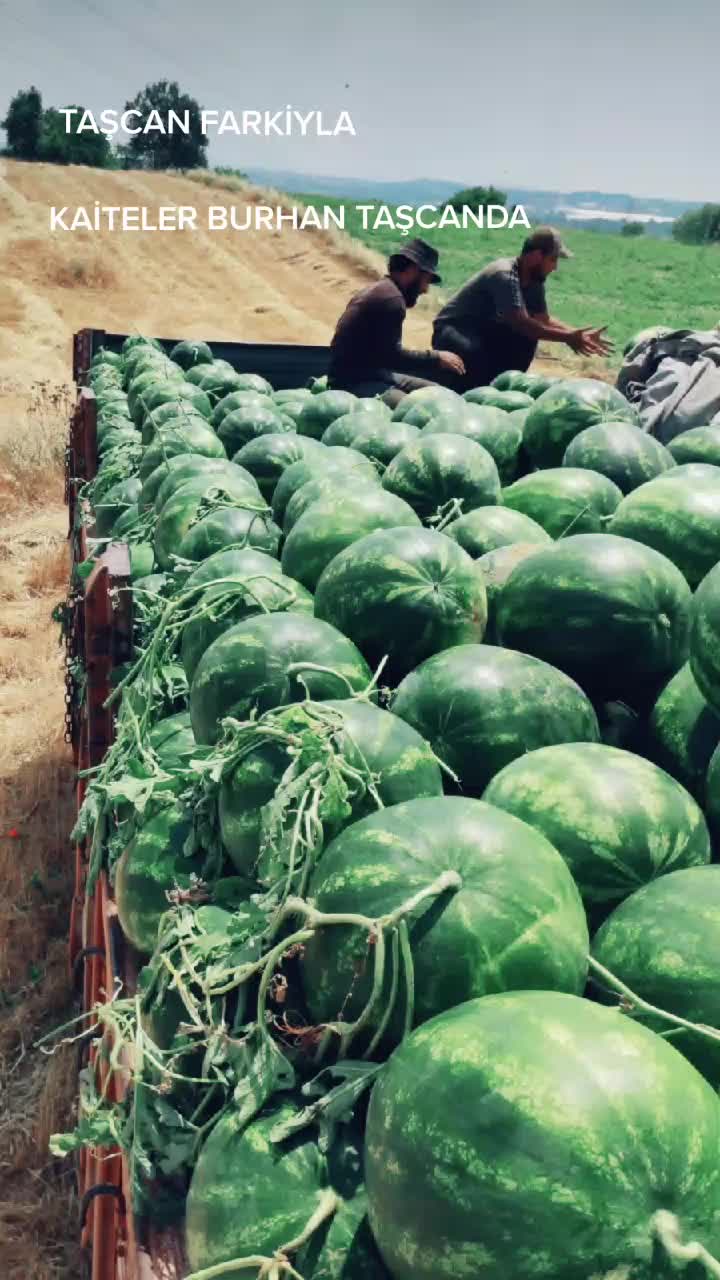 @ey&uuml;pcan13