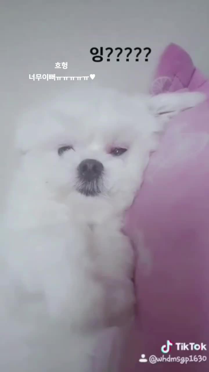 @๋ง์ค