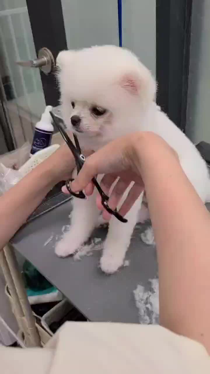 @kkangchu