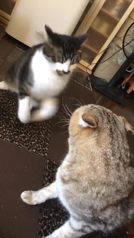 @°ส๐ฉตษ°