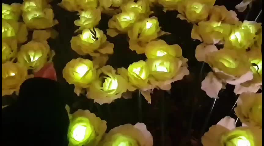 @ℬℒℳ