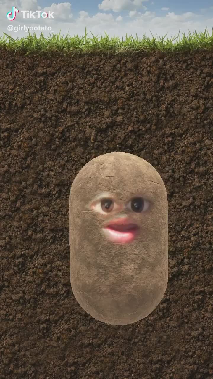 @guideknight