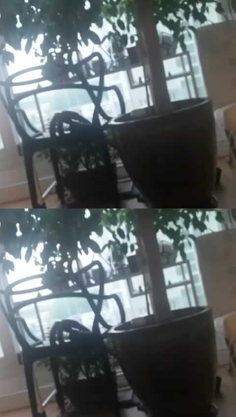 @피치