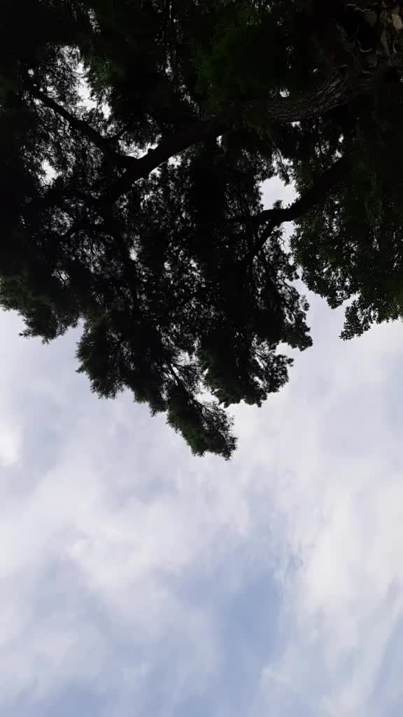 @짱구❤
